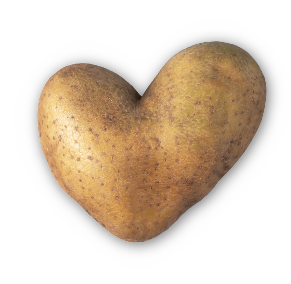 Pomme de terre en forme de coeur