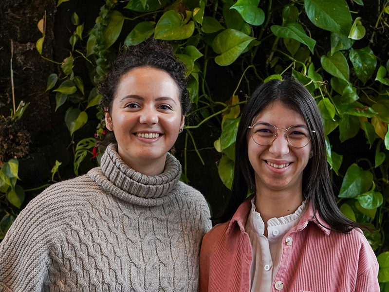 Portraits d'incubés dans l'incubateur foodshaker